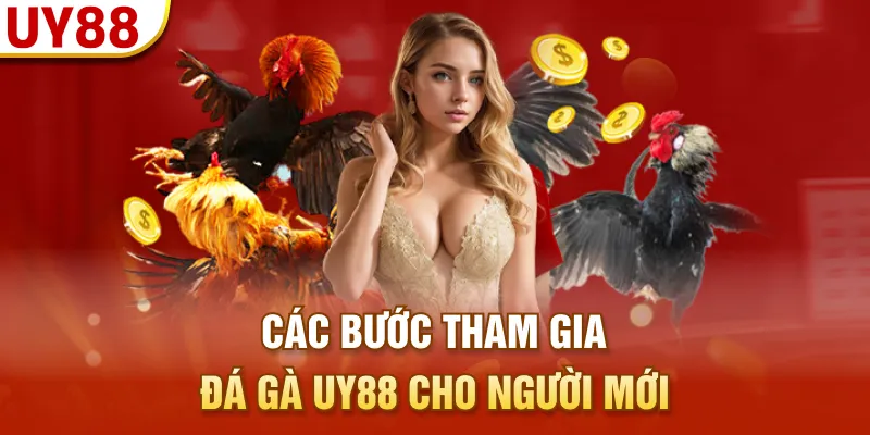 Các bước tham gia đá gà UY88 cho người mới