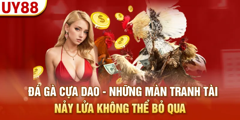 Đá gà cựa dao