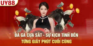 đá gà cựa sắt