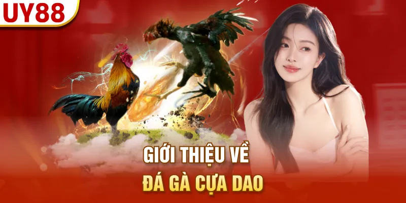 Giới thiệu về đá gà cựa dao