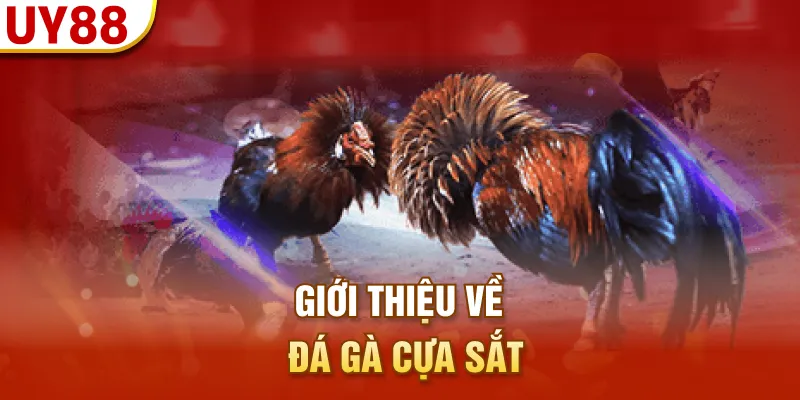 Giới thiệu về đá gà cựa sắt