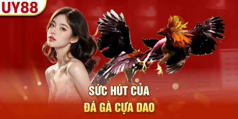 Sức hút của đá gà cựa dao
